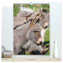Süße Esel. Langohren zum Verlieben (hochwertiger Premium Wandkalender 2024 DIN A2 hoch), Kunstdruck in Hochglanz