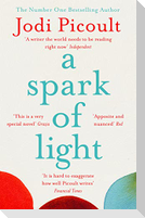 A Spark of Light