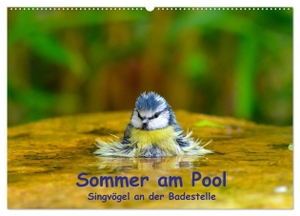 Plemper, Ulrich. Sommer am Pool - Singvögel an der Badestelle (Wandkalender 2024 DIN A2 quer), CALVENDO Monatskalender - Badende Singvögel im Garten. Calvendo, 2023.