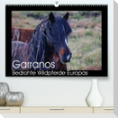 Garranos - Bedrohte Wildpferde Europas (Premium, hochwertiger DIN A2 Wandkalender 2023, Kunstdruck in Hochglanz)