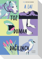 Toz Duman Dagilinca