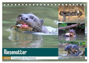 Riesenotter - Flusswölfe im Pantanal (Tischkalender 2025 DIN A5 quer), CALVENDO Monatskalender