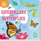 Life Cycles: Caterpillars and Butterflies