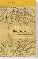 Boy, snow, bird