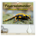 Feuersalamander - Liebenswerte Heimlichtuer (hochwertiger Premium Wandkalender 2024 DIN A2 quer), Kunstdruck in Hochglanz