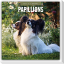 Papillons - Schmetterlingshund - Zwergspaniel 2027 - 16-Monatskalender