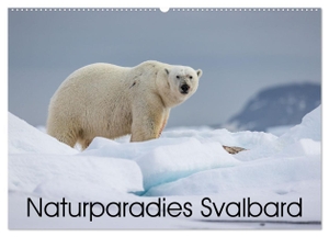 Oberholzer - www. davidoberholzer. ch, David. Naturparadies Svalbard (Wandkalender 2024 DIN A2 quer), CALVENDO Monatskalender - Einzigartige Tier- und Landschaftsbilder in der Arktis. Calvendo, 2023.