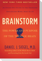 Brainstorm