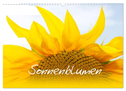 Sonnenblumen - die Blumen der Lebensfreude (Wandkalender 2025 DIN A3 quer), CALVENDO Monatskalender