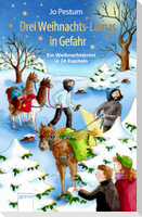 Drei Weihnachts-Lamas in Gefahr