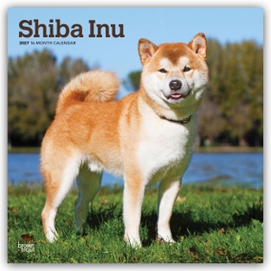 Publishers, Browntrout. Shiba Inu - Shiba 2027 - 16-Monatskalender - Original BrownTrout-Kalender [Mehrsprachig] [Kalender]. Browntrout Verlags GmbH, 2026.