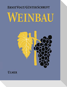 Weinbau
