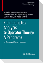 From Complex Analysis to Operator Theory: A Panorama