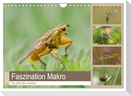 Faszination Makro - Die Welt der Insekten (Wandkalender 2025 DIN A4 quer), CALVENDO Monatskalender