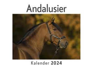Müller, Anna. Andalusier (Wandkalender 2024, Kalender DIN A4 quer, Monatskalender im Querformat mit Kalendarium, Das perfekte Geschenk). 27amigos, 2023.