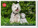 Kobold auf 4 Pfoten - West Highland White Terrier (Wandkalender 2024 DIN A4 quer), CALVENDO Monatskalender