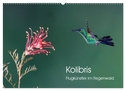 Kolibris - Flugkünstler im Regenwald (Wandkalender 2024 DIN A2 quer), CALVENDO Monatskalender