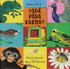 Davies, Nicola. ¿Qué pasa luego?. Editorial Juventud, S.A., 2013.