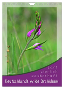 Deutschlands wilde Orchideen (Wandkalender 2024 DIN A4 hoch), CALVENDO Monatskalender
