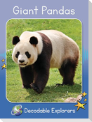 Giant Pandas