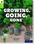 Oxford Reading Tree Word Sparks: Level 7: Growing, Going, Gone