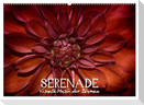 Serenade - Visuelle Musik der Blumen (Wandkalender 2025 DIN A2 quer), CALVENDO Monatskalender