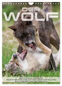 Emotionale Momente: Der Wolf. (Wandkalender 2025 DIN A4 hoch), CALVENDO Monatskalender