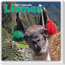 Llamas - Lamas 2027 - 16-Monatskalender