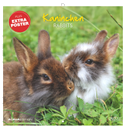 Kaninchen 2027