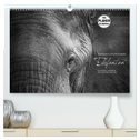 Emotionale Momente: Elefanten in black and white (hochwertiger Premium Wandkalender 2025 DIN A2 quer), Kunstdruck in Hochglanz
