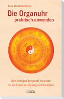 Die Organuhr praktisch anwenden