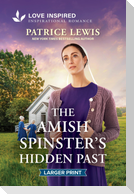 The Amish Spinster's Hidden Past