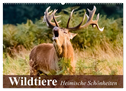Wildtiere. Heimische Schönheiten (Wandkalender 2024 DIN A2 quer), CALVENDO Monatskalender