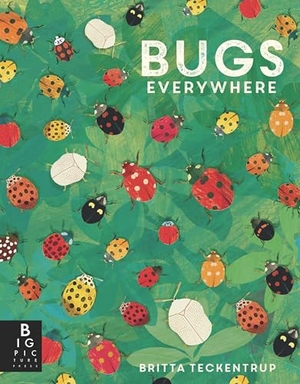 Murray, Lily. Bugs Everywhere. Candlewick Press (MA), 2024.