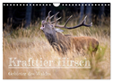 Krafttier Hirsch (Wandkalender 2024 DIN A4 quer), CALVENDO Monatskalender