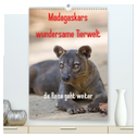 Madagaskars wundersame Tierwelt - die Reise geht weiter (hochwertiger Premium Wandkalender 2025 DIN A2 hoch), Kunstdruck in Hochglanz