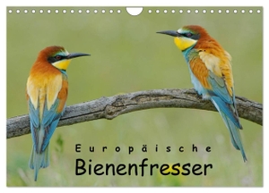 Wolf, Gerald. Europäische Bienenfresser (Wandkalender 2024 DIN A4 quer), CALVENDO Monatskalender - Faszinierende Portraits von Deutschlands farbenprächtigstem Vogel. Calvendo Verlag, 2023.