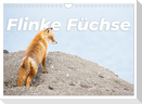Flinke Füchse (Wandkalender 2025 DIN A4 quer), CALVENDO Monatskalender