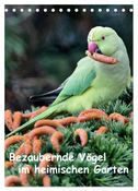Bezaubernde Vögel im heimischen Garten (Tischkalender 2024 DIN A5 hoch), CALVENDO Monatskalender