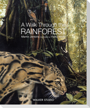 A Walk Through the Rainforest