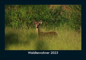 Tobias Becker. Waldbewohner 2023 Fotokalender DIN A5 - Monatskalender mit Bild-Motiven von Haustieren, Bauernhof, wilden Tieren und Raubtieren. Vero Kalender, 2022.