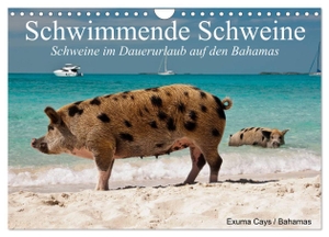 Stanzer, Elisabeth. Schwimmende Schweine (Wandkalender 2024 DIN A4 quer), CALVENDO Monatskalender - Glückliche Schweine im Dauerurlaub auf den Bahamas. Calvendo, 2023.