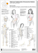 Tao Training Meridiantafel Erde Element