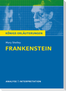 Frankenstein. Textanalyse und Interpretation