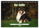 Der Collie der beste Hund der Welt (Tischkalender 2025 DIN A5 quer), CALVENDO Monatskalender