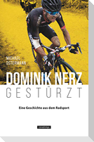 Dominik Nerz - Gestürzt