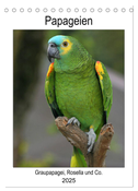 Papageien - Graupapagei, Rosella und Co. (Tischkalender 2025 DIN A5 hoch), CALVENDO Monatskalender