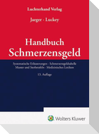 Handbuch Schmerzensgeld