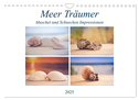 Meer Träumer - Muscheln und Schnecken Impressionen (Wandkalender 2025 DIN A4 quer), CALVENDO Monatskalender