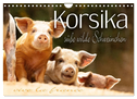 Korsika - süße, wilde Schweinchen (Wandkalender 2024 DIN A4 quer), CALVENDO Monatskalender